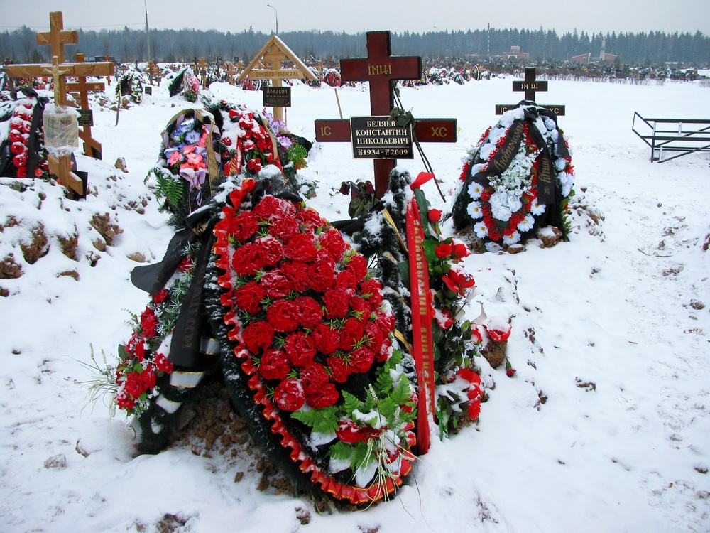 Где похоронят константина кольцова. Могила Константина Беляева.